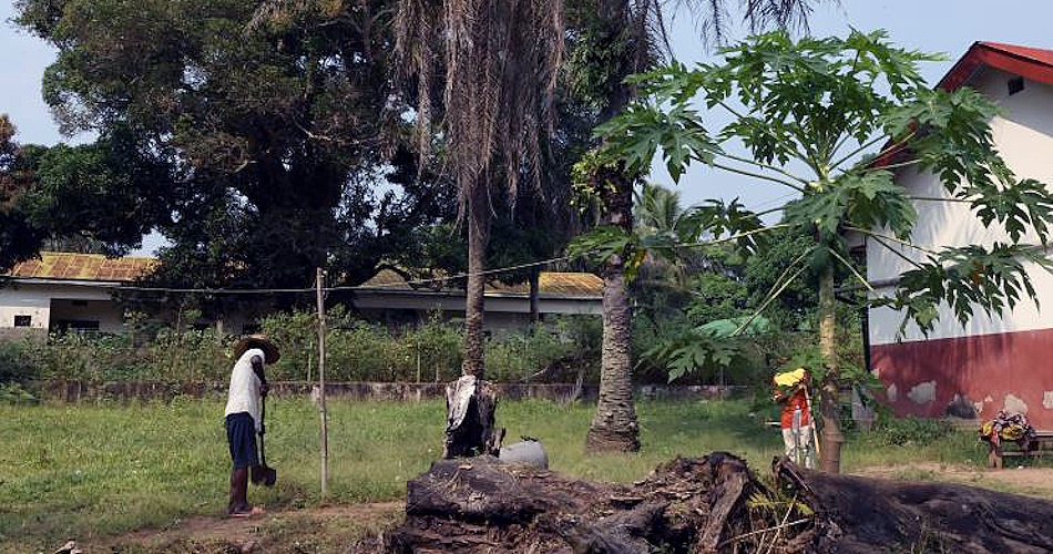 Nuevas oportunidades de desarrollo para el medio rural del Congo